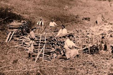 Ťažba dreva v Sivom kameni v roku 1922 Ťažba dreva v Sivom kameni v roku 1922