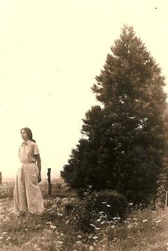 Judita Nessnerová r. 1938 so známou sekvojou v Horňanoch Judita Nessnerová r. 1938 so známou sekvojou v Horňanoch